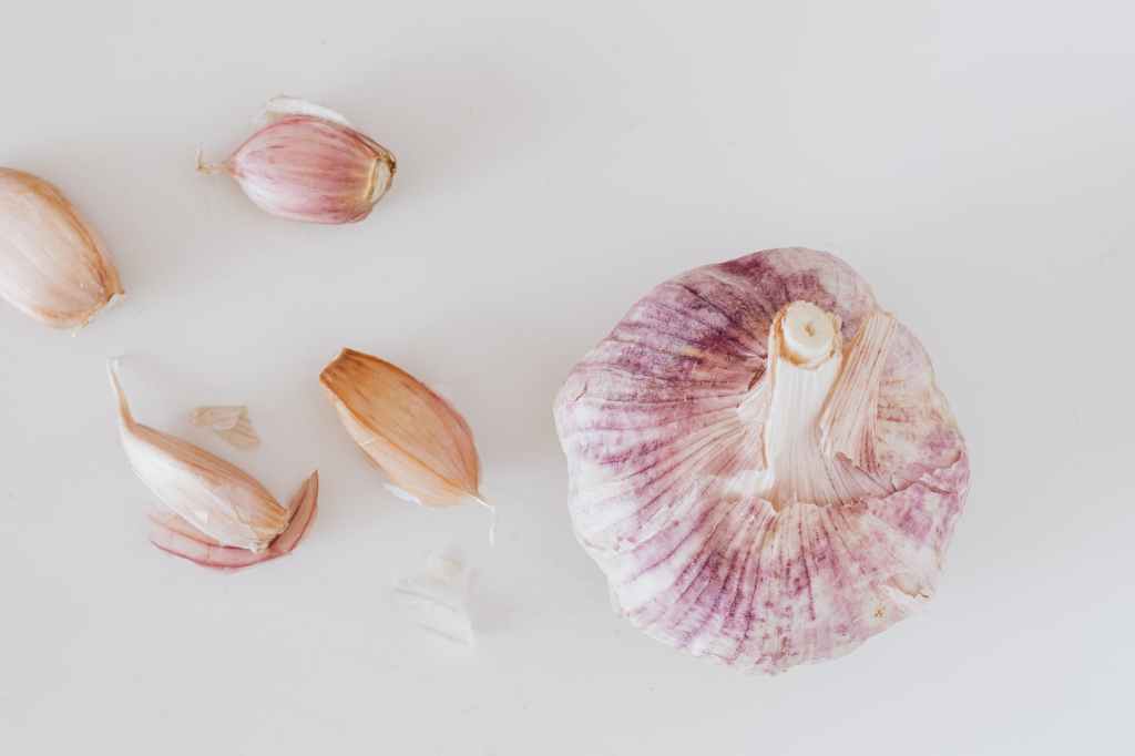 Garlic’s Immunity-Boosting Power: A Clove a Day Keeps the Doctor Away